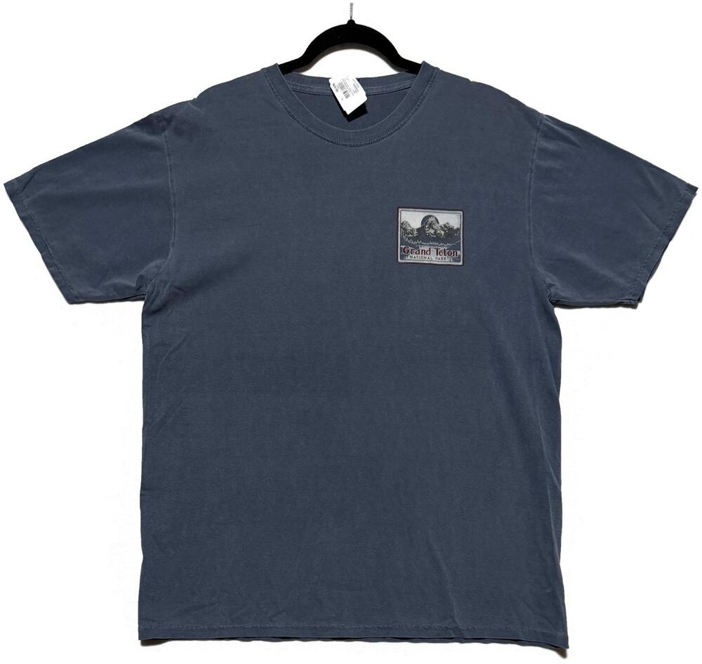Blue 84 Mens Grand Teton National Park Gray T-Shirt Size L Short Sleeve NWT
